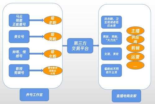 快手电商帝国雏形初显，抖音该如何迎战电商广告